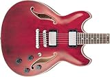 Hollow Body Electric Guitars