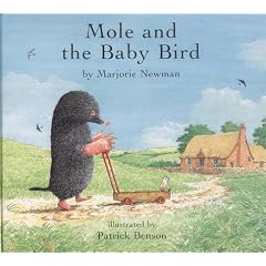 Mole and the Baby Bird