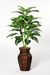 House of Silk Flowers Artificial Dieffenbachia Floor Plant