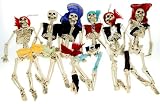 Season's Designs 6-Pack of 16-Inch Hanging Skeletons
