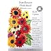 Heirloom Sunflower Seeds Flash Blend Certified Organic