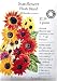 Heirloom Sunflower Seeds - Flash Blend Flower Seed Organic
