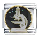 Nanotechnology Science Pugster Italian Charm