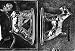 Dog WIRE FOX TERRIER Large Chocolate Candy or Soap 2 Mold Set