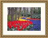 Review ArtToFrames  / 8.5x11 / 8.5 x 11 Picture Frame Dark Gold w/ Compo .. 1.25'' wide