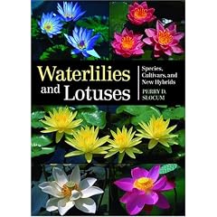 Waterlilies And Lotuses: Species, Cultivars, And New Hybrids