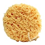 Foam Bath Sponge - 2 COUNT- Ships FREE ~ Beach Bum