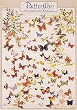 Butterflies Poster (#36)