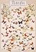 Butterflies Poster (#36)