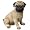 Spardose Mops 20cm Sparbüchse Sparschwein Spardosen Spar Schwein Möpse Pug