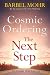 Cosmic Ordering: The Next Step: The new way to shape reality through the ancient Hawaiian technique of Ho'oponopono