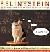 Felinestein: Pampering the Genius in Your Cat