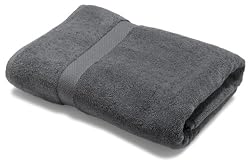 Pinzon Luxury 820-Gram Cotton Hand Towel, Platinum