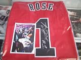 Derrick Rose Chicago Bulls Signed Autographed Basketball NBA Jersey Coa & Tamper Proof Hologram Proof Photo