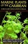 Marine Plants of the Caribbean. A Field Guide from Florida to Brazil