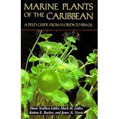 Marine Plants of the Caribbean: A Field Guide from Florida to Brazil
