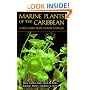 Marine Plants of the Caribbean. A Field Guide from Florida to Brazil