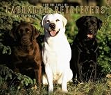 Labrador Retrievers, for the Love of Deluxe Wall