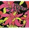 Trippy Psychedelic albums Part 1