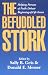 The Befuddled Stork: Helping Persons of Faith Debate Beginning-Of-Life Issues