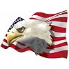 PREMIUM Aufkleber USA ADLER Weisskopfadler - KONTUR - auf US-Fahne - american eagle Weisskopfadler - Vereingte Staaten von Amerika - America - Gr�sse: 8 x 11 cm -- Auto Biker Sticker Autoaufkleber -- mit Schutzlaminat und Transferfolie -- Made in Germany -- Sehr lange Haltbarkeit !! KEIN VERSAND an Packstationen