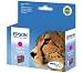 Epson T0713 Original Durabrite Magenta Ink Cartridge