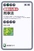 基礎から学ぶ刑事法 (有斐閣アルマ)
