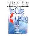 Ice Cube Is Melting: What Is Really at Risk in United Methodism book cover