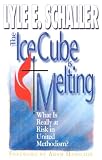 Ice Cube Is Melting: What Is Really at Risk in United Methodism