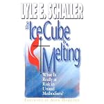 Ice Cube Is Melting: What Is Really at Risk in United Methodism book cover