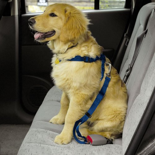 LARGE - BLACK -Dog Car/Truck Safety Harness - Adjustable Nylon Web with Quick Release Buckles
