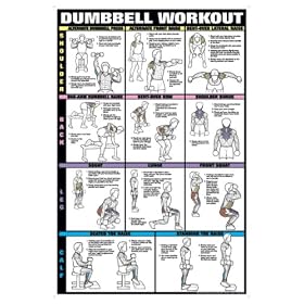 Click here to buy Dumbbell Workout Ii 24 X 36 Laminated Chart (Shoulder, Back, Leg, & Calf).