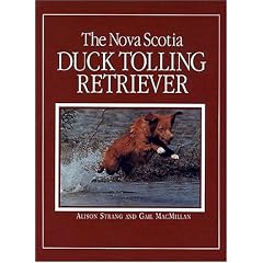 The Nova Scotia Duck Tolling Retriever