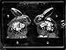3D BUNNY Easter Candy Mold chocolate
