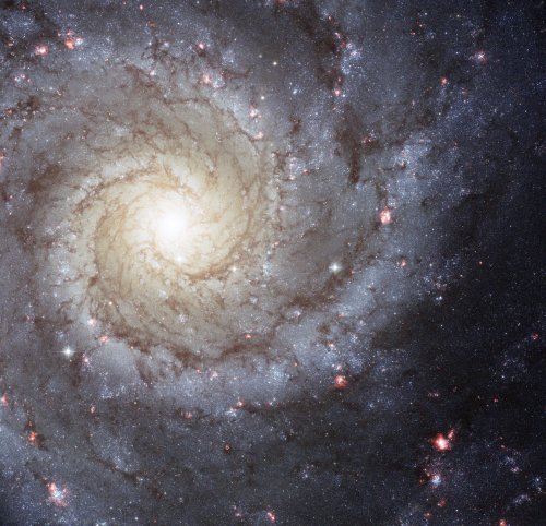 Kinsella (Kinsella Universe)