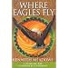 Where Eagles Fly: A Shamanic Way to Personal Fulfilment (Craft of Life)