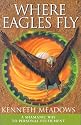 Where Eagles Fly: A Shamanic Way to Personal Fulfilment (Craft of Life)