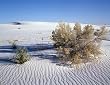 Mojave (Mohave) Desert, California Photograph - Beautiful 16x20-inch Photographic Print by Carol M. Highsmith