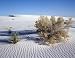 Mojave (Mohave) Desert, California Photograph - Beautiful 16
