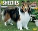 Book Just Shelties 2007 Calendar (Just)