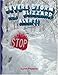 Severe Storm and Blizzard Alert! (Disaster Alert!)