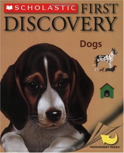 Discovery
