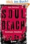Soul Beach 01. Frostiges Paradies
