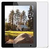 Reusable Anti-Glare Screen Protector for APPLE iPad 2