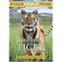 IMAX Presents - Kingdom of the Tiger