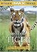 IMAX Presents - Kingdom of the Tiger
