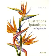 Illustrations botaniques : A l'aquarelle