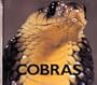 Cobras (Naturebooks: Reptiles and Amphibians)
