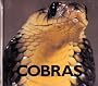 Cobras (Naturebooks: Reptiles and Amphibians)
