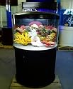 48 gallon half circle aquarium with light and filter